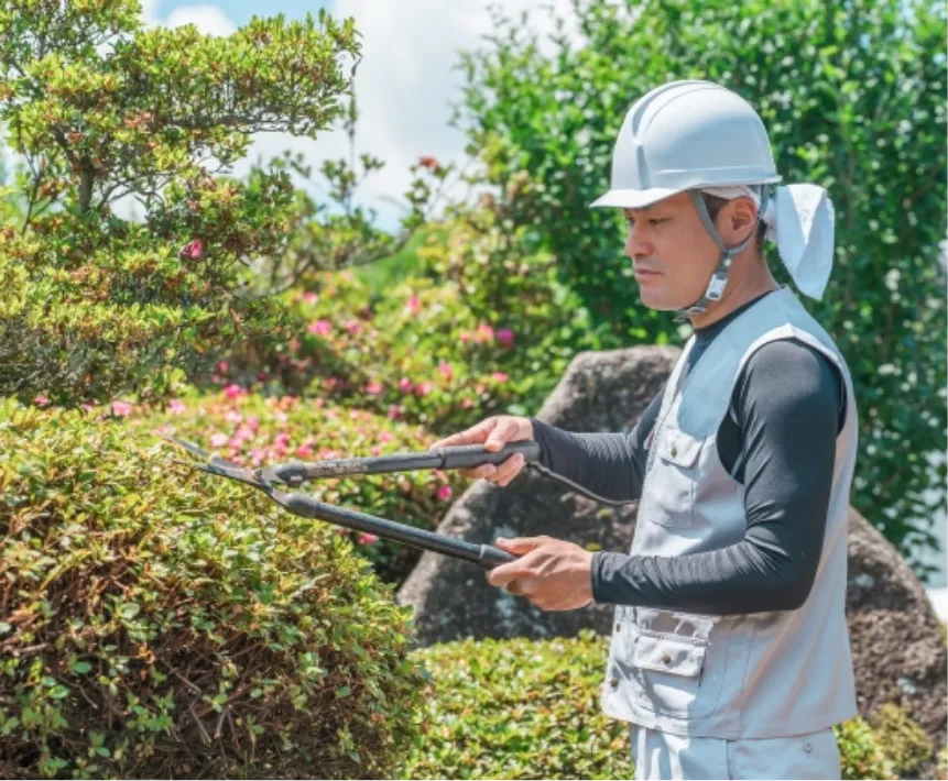 リフォーム庭木手入れ